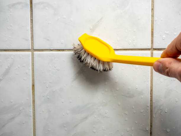 Certified Mold Removal in Carrboro, NC