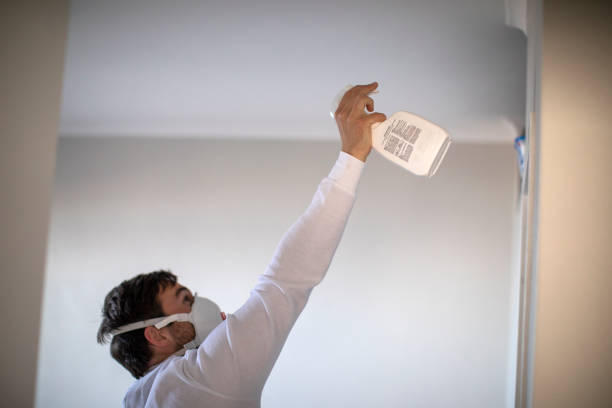 Best Mold Testing  in Carrboro, NC