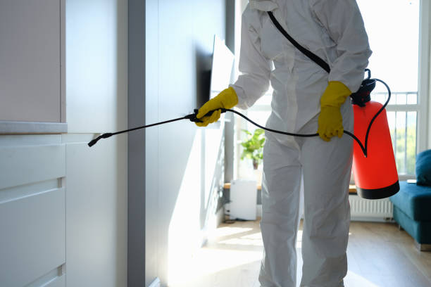 Best Mold Removal Near Me  in Carrboro, NC