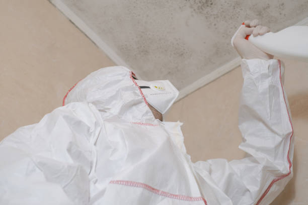 Best Fast Mold Removal  in Carrboro, NC